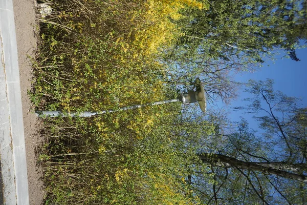 Oude Lampen Langs Weg Die Nog Steeds Bedrijf Zijn Vandaag — Stockfoto