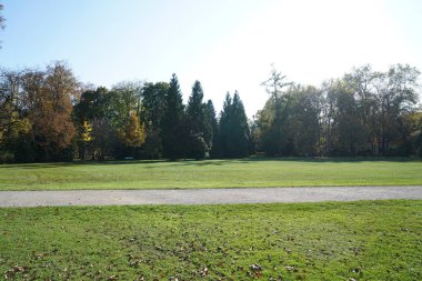 Alman parkında bir sonbahar gününde arka ışık vuruşu.