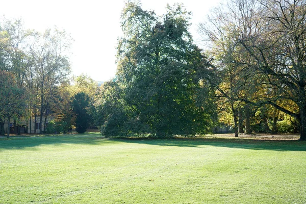 Gegenlichtaufnahme Einem Herbsttag Deutschen Park — Stockfoto