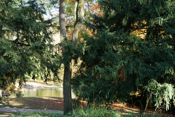 Záběr Zezadu Podzimního Dne Německém Parku — Stock fotografie