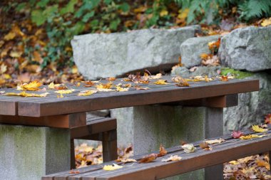 Masalardaki banklar ve sandalyeler seni rahatlamaya ve gevşemeye davet ediyor.