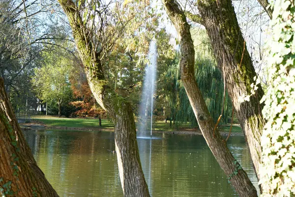 Fontes Jardim Lagoa Parque Público Convidá Relaxar — Fotografia de Stock
