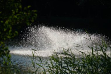          Halk parkındaki çeşmeler ve bahçe göleti sizi dinlenmeye davet ediyor.                      