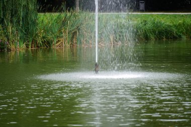          Halk parkındaki çeşmeler ve bahçe göleti sizi dinlenmeye davet ediyor.                      