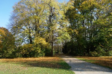                         Parkta uzanan yol seni yürüyüşe davet ediyor.       