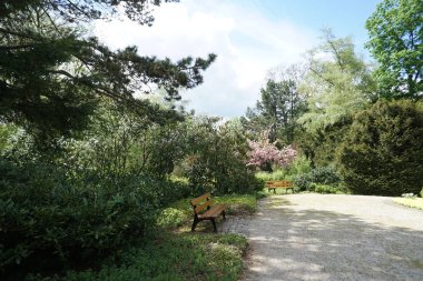                         Parkta uzanan yol seni yürüyüşe davet ediyor.       