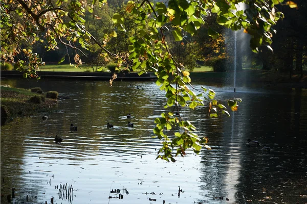 Fontaines Étang Jardin Dans Parc Public Vous Invitent Vous Détendre — Photo