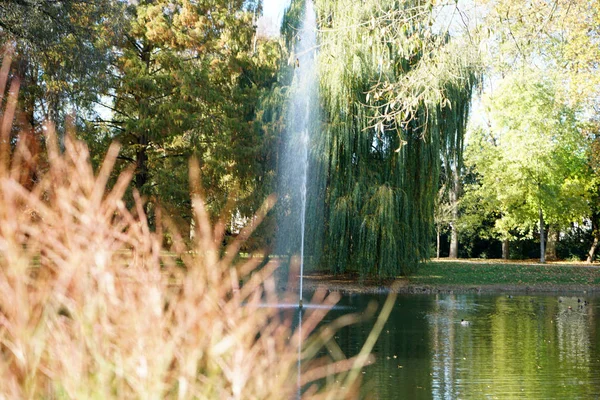 Fontaines Étang Jardin Dans Parc Public Vous Invitent Vous Détendre — Photo