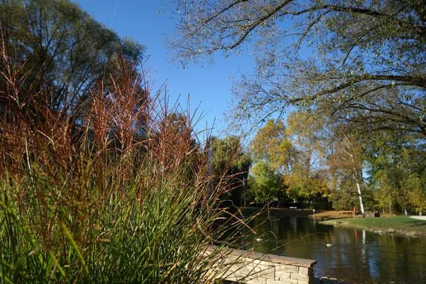 Fontaines Étang Jardin Dans Parc Public Vous Invitent Vous Détendre — Photo