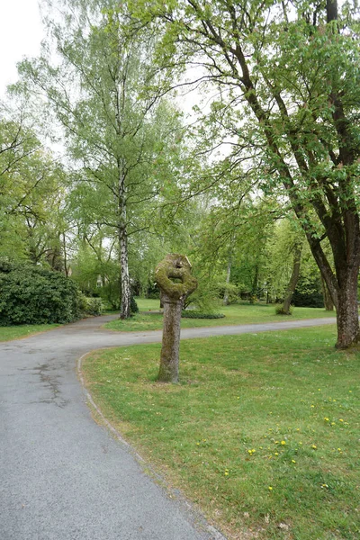 Bem Traçado Caminho Através Parque Convida Você Para Passeio — Fotografia de Stock