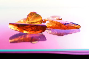 Stüdyoda kapana kısılmış böcekli Amber yakın objektifle fotoğraflandı.