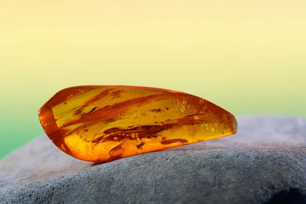 Amber Trapped Insects Photographed Studio Close Lens — Stock Photo, Image