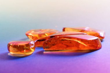 Stüdyoda kapana kısılmış böcekli Amber yakın objektifle fotoğraflandı.