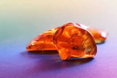 Stüdyoda kapana kısılmış böcekli Amber yakın objektifle fotoğraflandı.