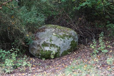 Stüdyodaki taşlar flaş ve makro mercekle fotoğraflanmış.