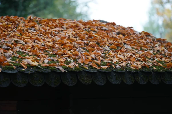 Dakbedekking Met Verschillende Materialen Overgroeid Met Mos Andere Planten — Stockfoto