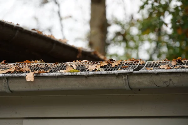 Roofing Different Materials Overgrown Moss Other Plants — 스톡 사진