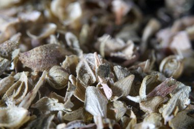 Stüdyoda el feneriyle çekilen grafiksel elementler