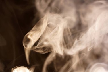 Renkli folyoyla tüttüren stüdyoda fotoğraflanmış.