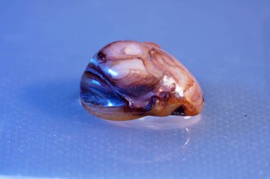 Renkli arkaplanlar en iyi fotoğraf kalitesinde duvar kağıdı olarak da kullanılabilir