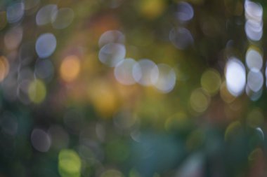 Renkli arkaplanlar en iyi fotoğraf kalitesinde duvar kağıdı olarak da kullanılabilir