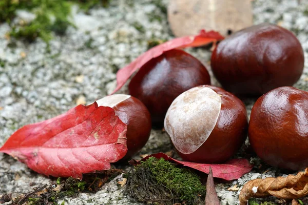 Sfondi Colorati Possono Anche Essere Utilizzati Come Sfondi Nella Migliore — Foto Stock