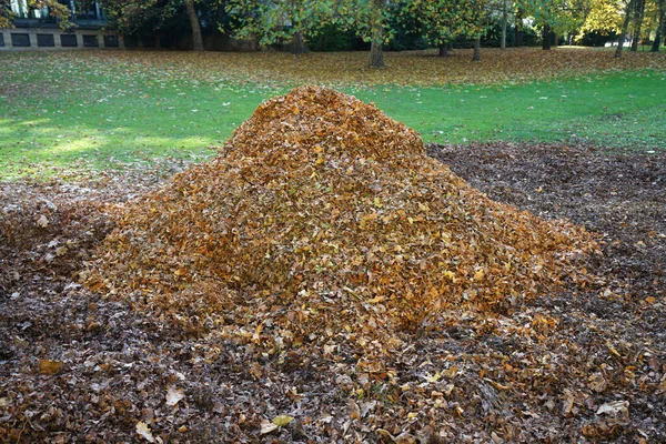 Kleurrijke Achtergronden Kunnen Ook Worden Gebruikt Als Wallpapers Beste Fotokwaliteit — Stockfoto