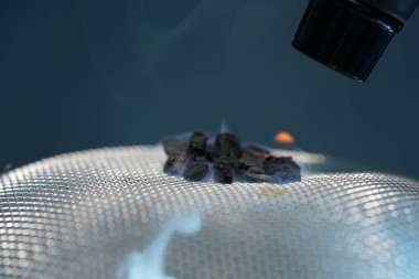 Styrax reçinesi hoş bir koku yaktıktan sonra yayıldı ve senin kokun et ve balık tüttürmek için çok iyi, stüdyoda fotoğraflandı..