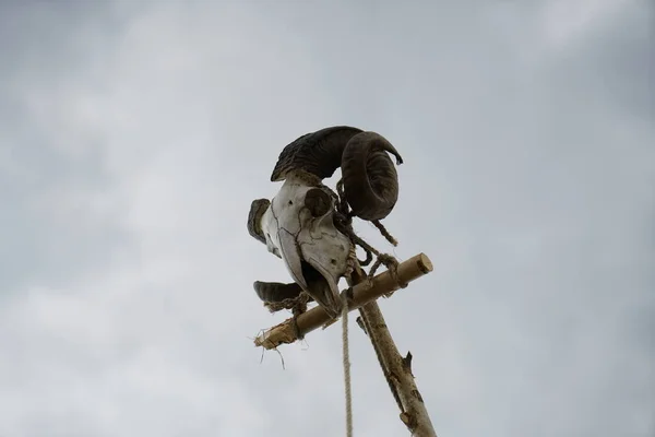 Perfectly Imitated Skull Photographed Cloudy Day Medieval Festival Germany — Stockfoto