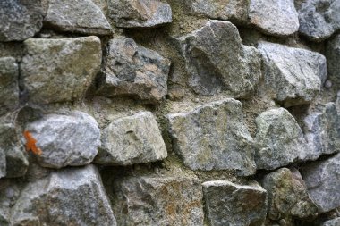 Renkli arkaplanlar en iyi fotoğraf kalitesinde duvar kağıdı olarak da kullanılabilir