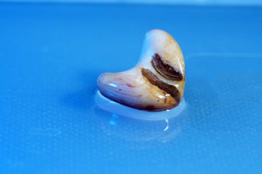 Büyük bir dosya olarak arkaplan ve duvar kağıtları iyi kalitede fotoğraflandı