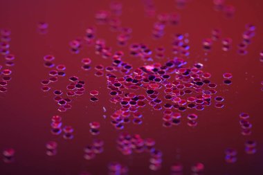 Makro lensli konfeti stüdyoda yakın plan çekilmiş.