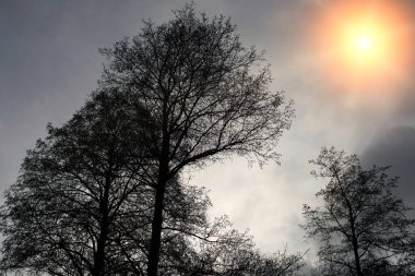 Manzara fotoğrafçılığındaki mercekler kısmen işleme sonrası için tasarlanmıştır.