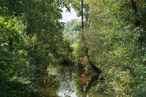 Ein Bach Bayerischen Wald Frühling — Stockfoto