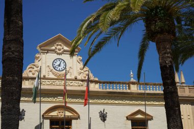 Palmiye ağaçları güney ülkelerindeki günlük şehir hayatının bir parçasıdır.