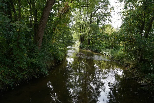 Ruisseau Dans Forêt Bavaroise Printemps — Photo