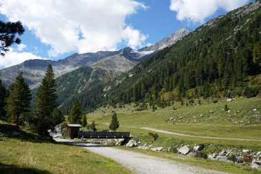 Baharda Bavyera Ormanı 'nda yürüyüş patikaları
