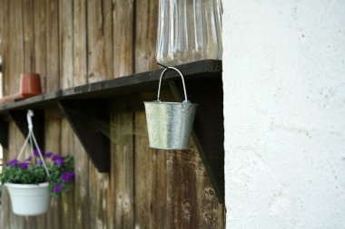 Sardunyalar ve petunyalar kolay bakım bitkileridir ve özellikle evi güzelleştirmek için saksı bitkisi olarak uygundur.