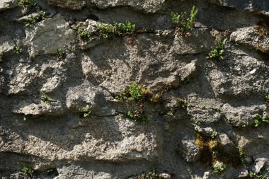 Doğal taştan ustalıkla yapılmış duvarlar.