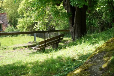 Sizi rahatlamaya davet eden sandalyeler ve banklar