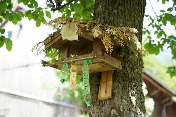 Bird House Καλοκαίρι Εγκαταλειφθεί Από Πουλιά Και Χωρίς Φαγητό — Φωτογραφία Αρχείου