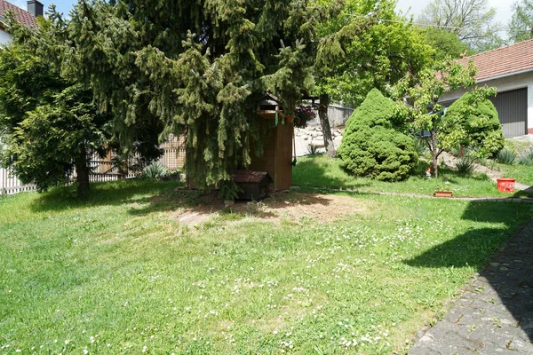 Casa Aves Verano Abandonada Por Las Aves Sin Comida —  Fotos de Stock