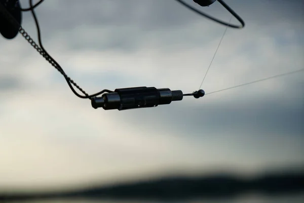 Pesca Enfrentar Fotografado Enquanto Pesca Danúbio Uma Tarde Verão — Fotografia de Stock