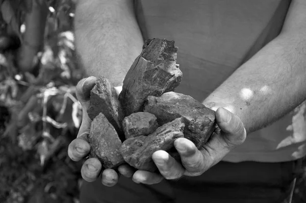miner in the hands. black and white photo