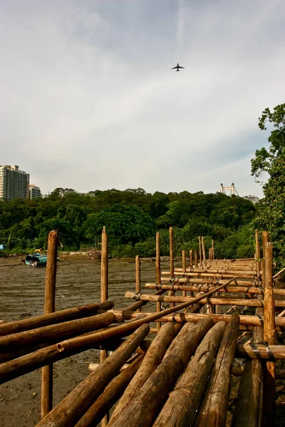 Літак з деревами та дерев'яним мостом — стокове фото