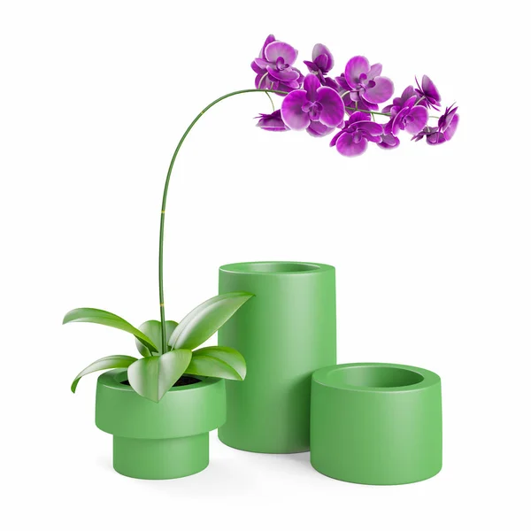 Фиолетовый Розовый Ветви Орхидеи Цветы Зелеными Листьями Зеленые Керамические Вазы — стоковое фото