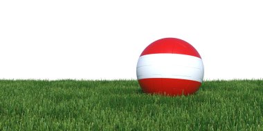 Çim Dünya Kupası 2018 yalan Avusturya Avusturya bayrağı futbol topu