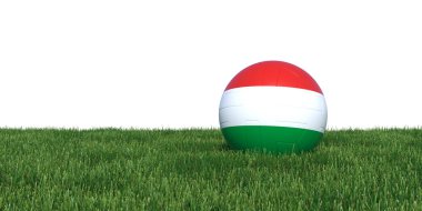 Çim Dünya Kupası 2018 yalan Macaristan Macar bayrak futbol topu