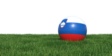 Slovenya Sloven bayrak futbol topu çim Dünya Kupası 20 yalan