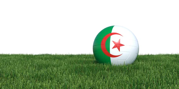 Algerijnse Algerije vlag voetbal liggen in het gras WK 2018 — Stockfoto